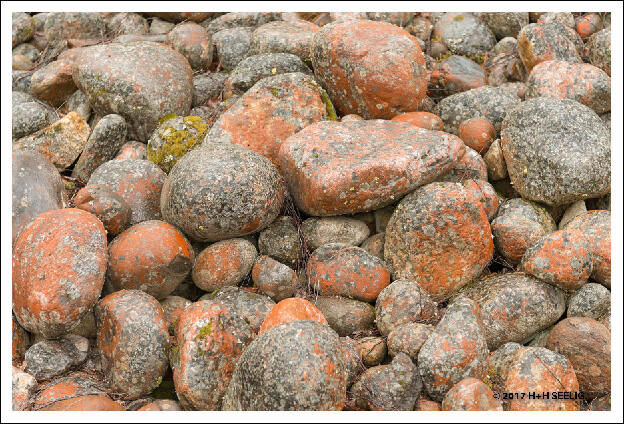 Steine mit Flechten