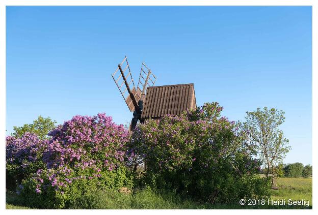Windmühle, Öland