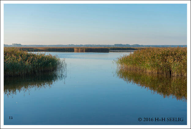 Boddenlandschaft