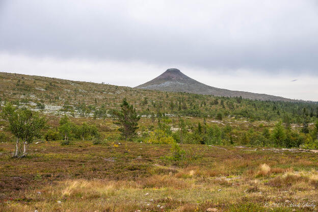 Nipfjället