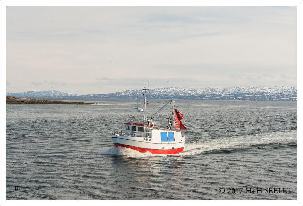 Fischerboot am Varangerfjord