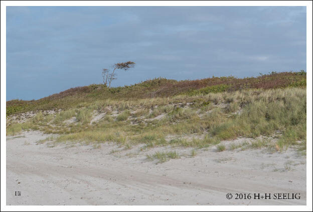 Darßer Weststrand