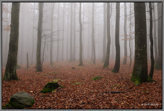 Bayerischer Wald Oktober 2009