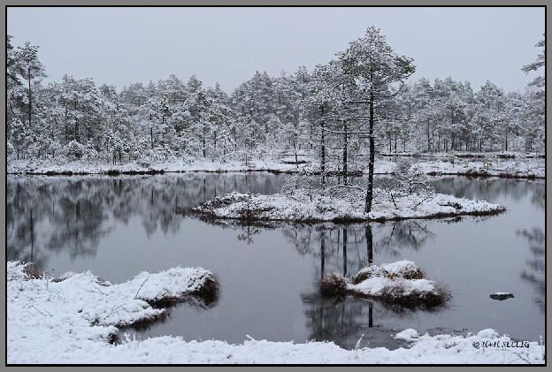 Dezember 2012 - Erster Schnee im Moor