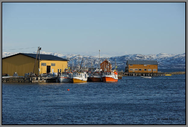 Fischerboote am Varangerfjord