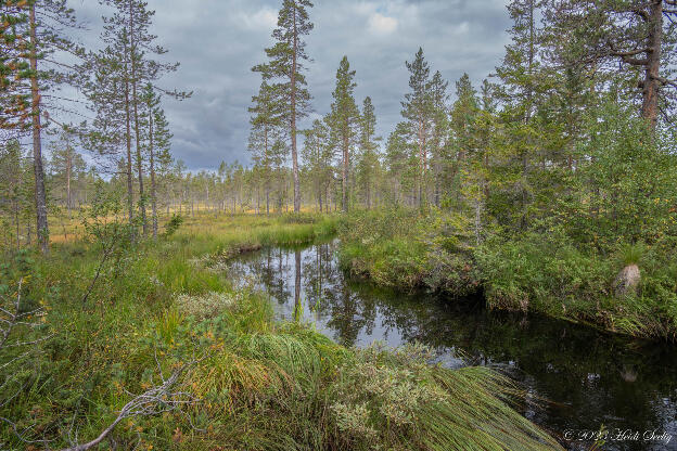 Fulufjället NP