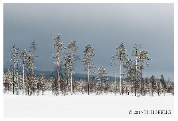 Februar 2015 - Winter in Schweden