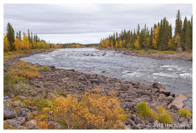 Herbst in schwedisch Lappland