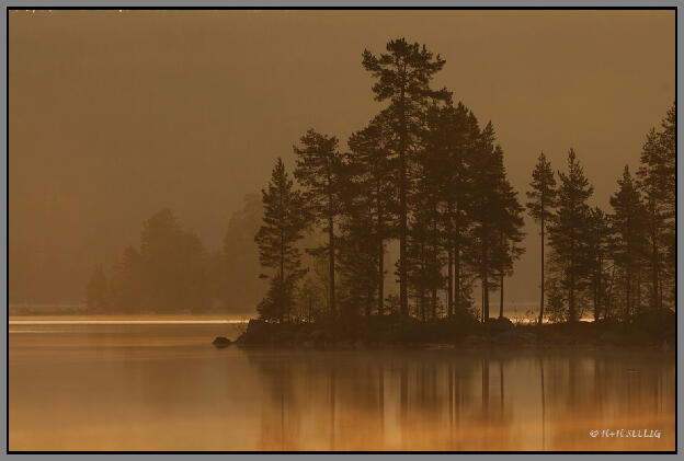 Sonnenaufgang am Storhamrasjön